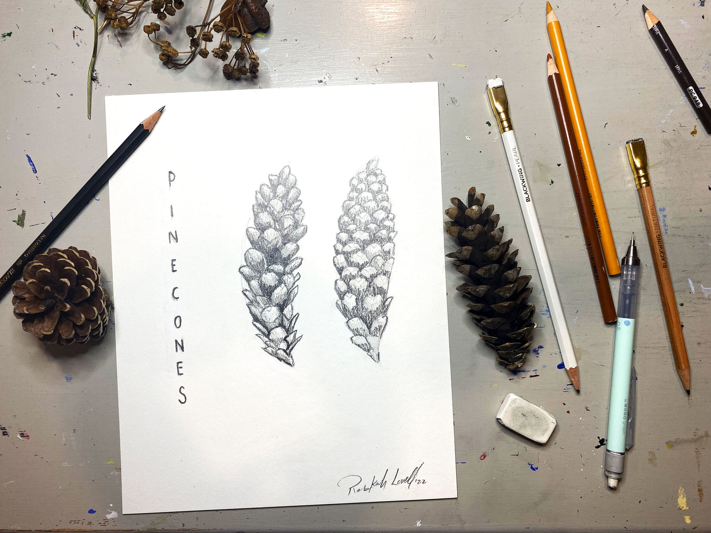 "pinecones" pencil drawing created in Project Wild / Federal Junior Duck Stamp webinar