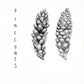 "pinecones" pencil drawing created in Project Wild / Federal Junior Duck Stamp webinar