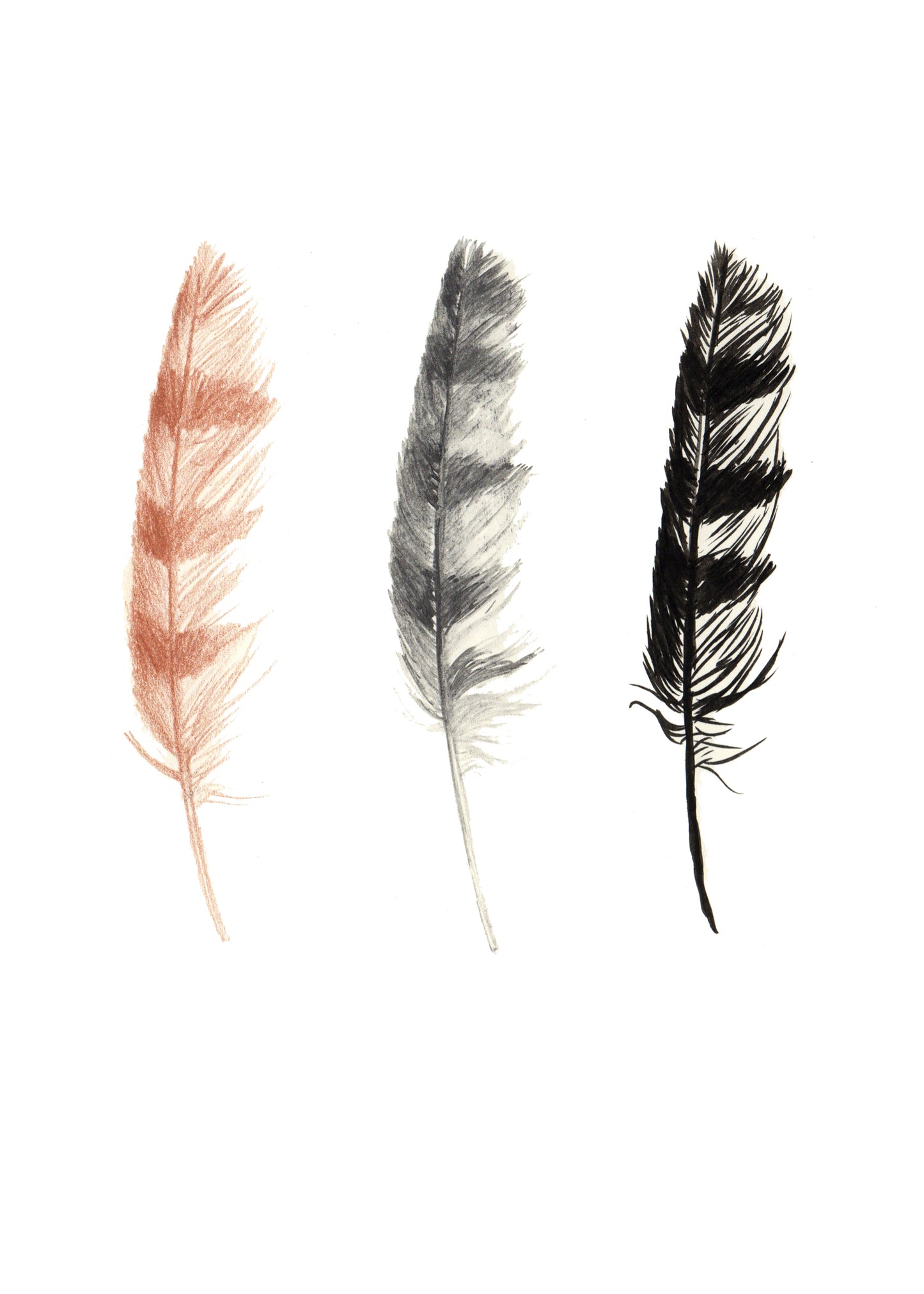 Three Feathers Print