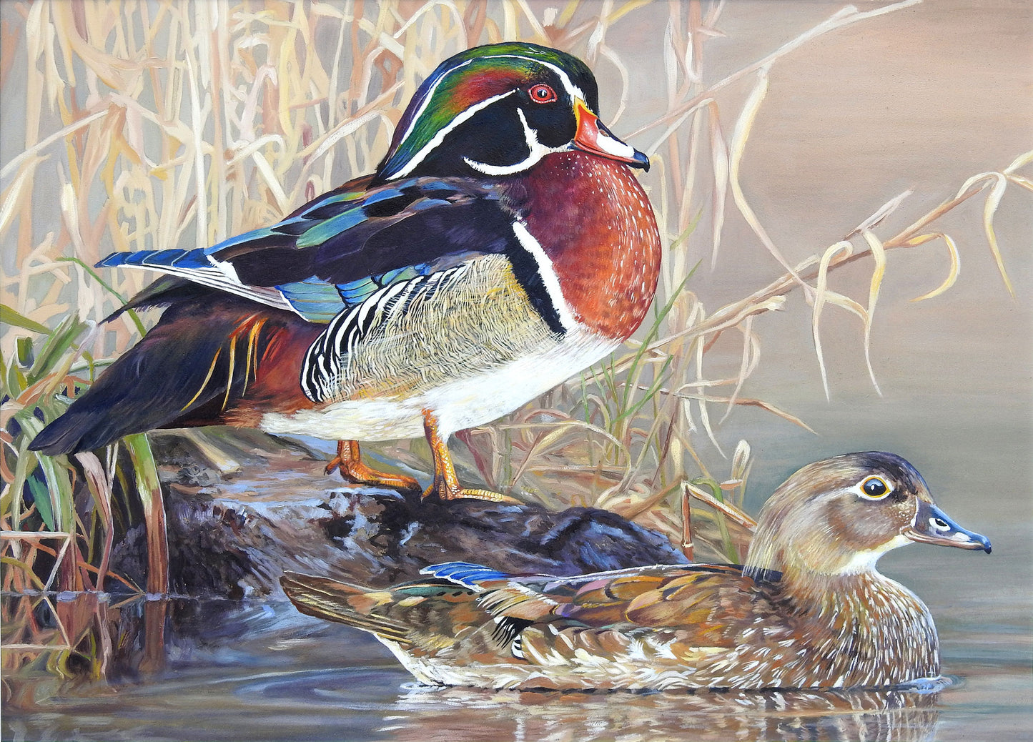 2022 Maine Duck Stamp Print, "Wooded Wetlands",  Wood Ducks