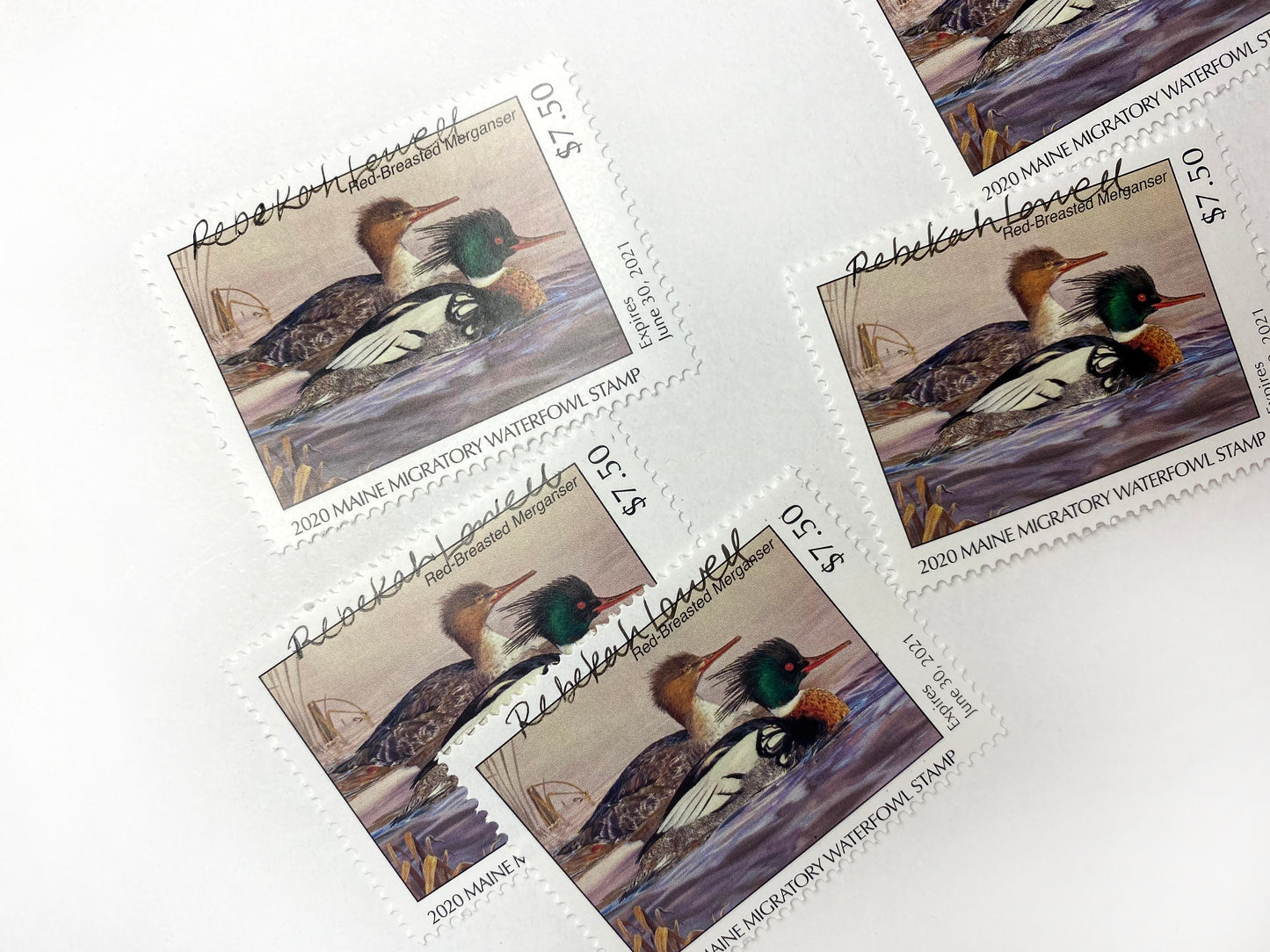 Signed 2020 Maine Duck Stamp