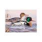 2020 Maine Duck Stamp Print, "At the Blush of Dawn",  Red-breasted Mergansers