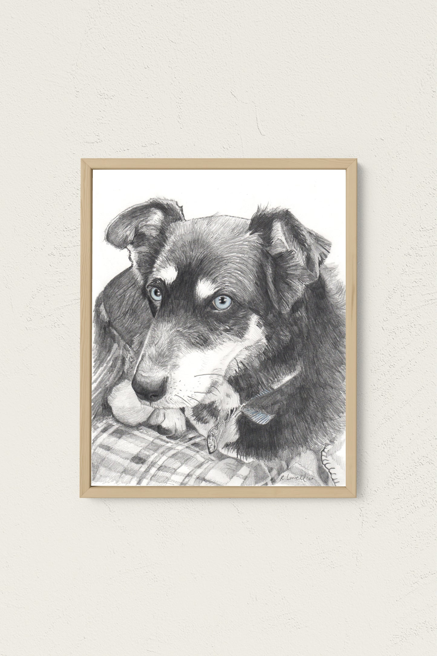 Custom Pet Portrait, Made to Order