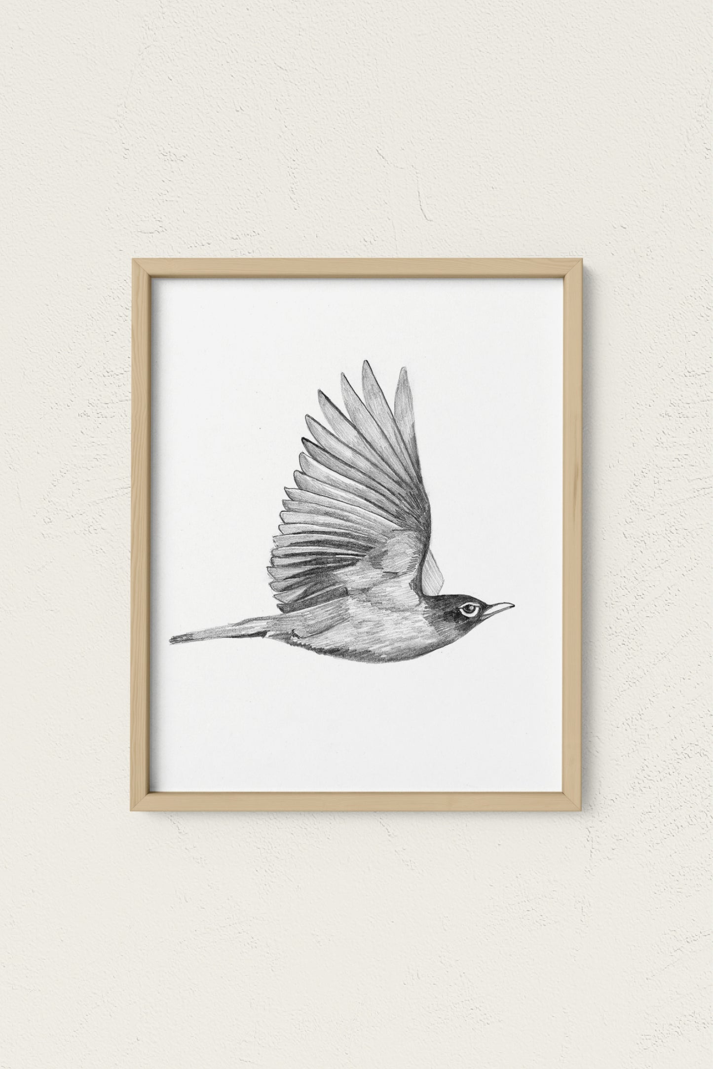 Flying Robin Art Print