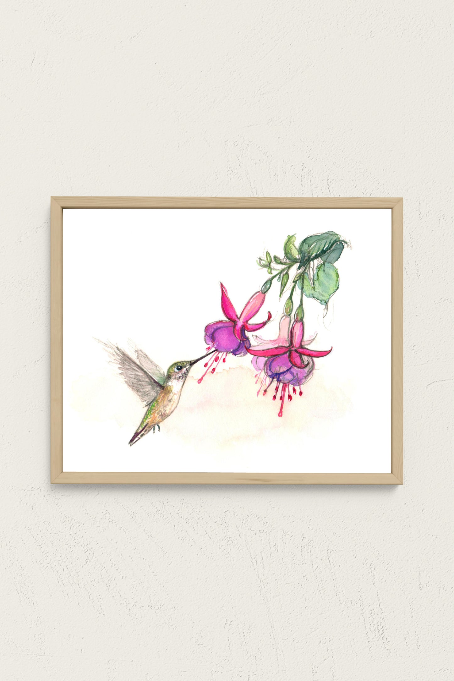 Hummingbird Feeding on Fuchsia