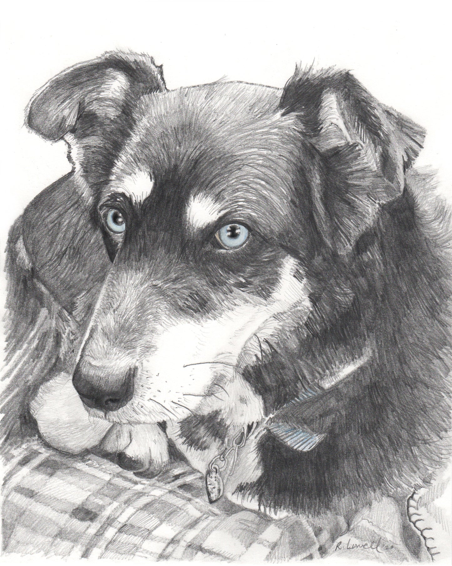 Custom Pet Portrait, Made to Order