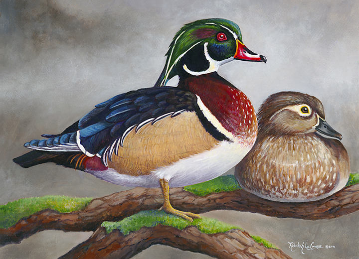 2011 Maine Duck Stamp Print (Wood Ducks) "Proud Perch"
