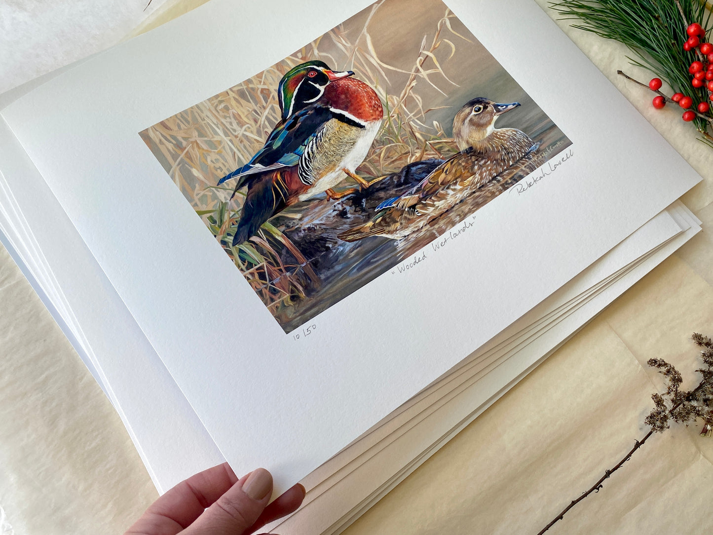 2022 Maine Duck Stamp Print, "Wooded Wetlands",  Wood Ducks