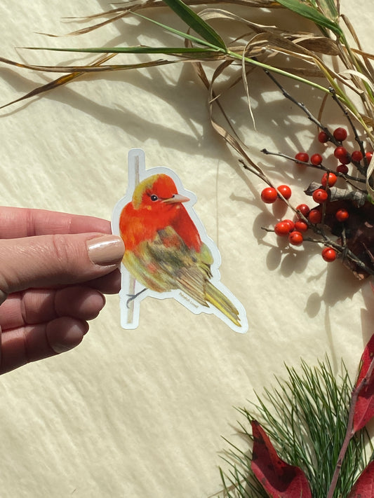 Summer Tanager Clear-Edged Vinyl Decal Bumper Sticker