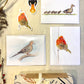 Bird Lover Gift Bundle