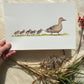 Watercolor Duck Family Hen Mallard & Ducklings