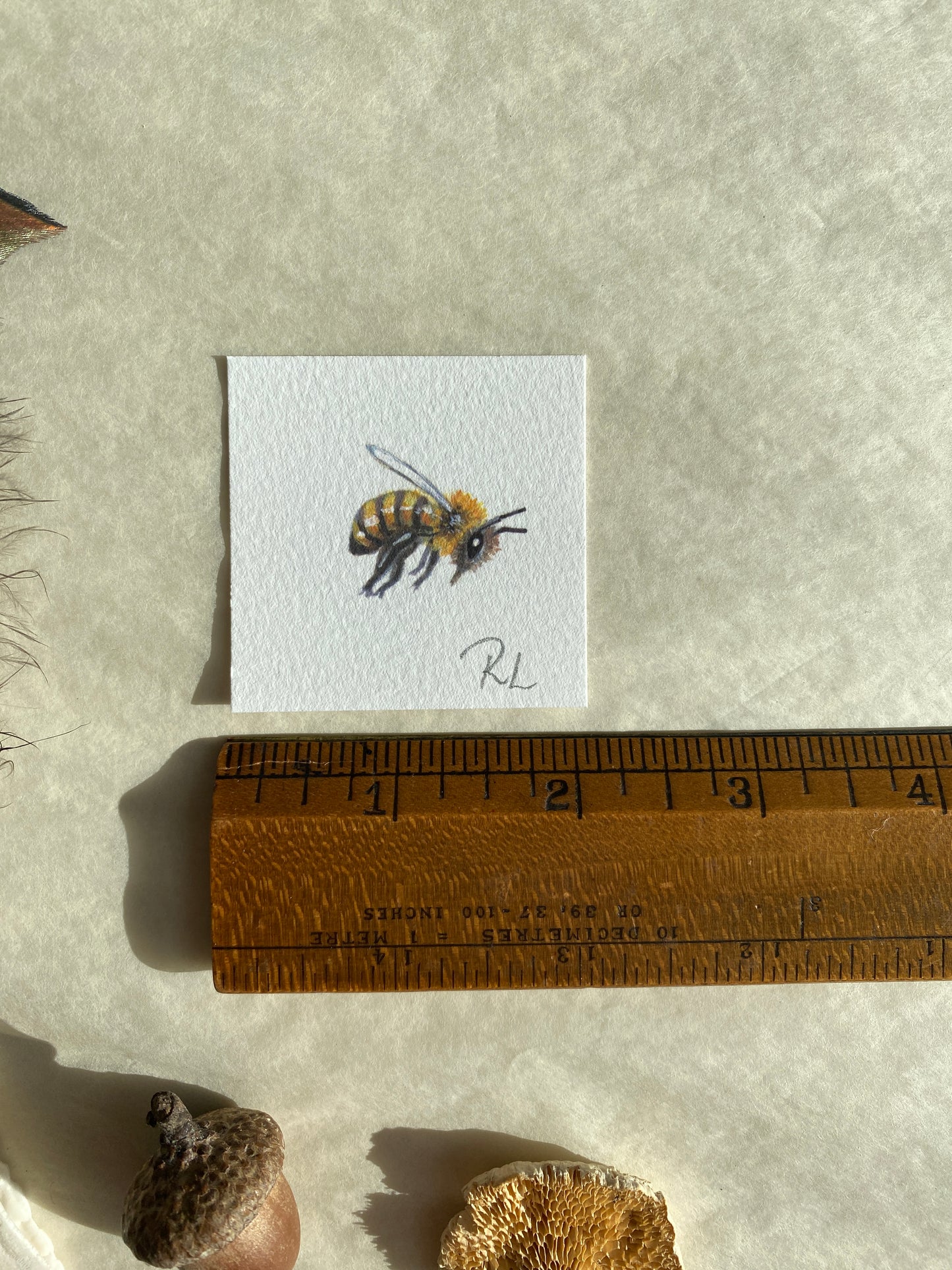 Honeybees Little Prints