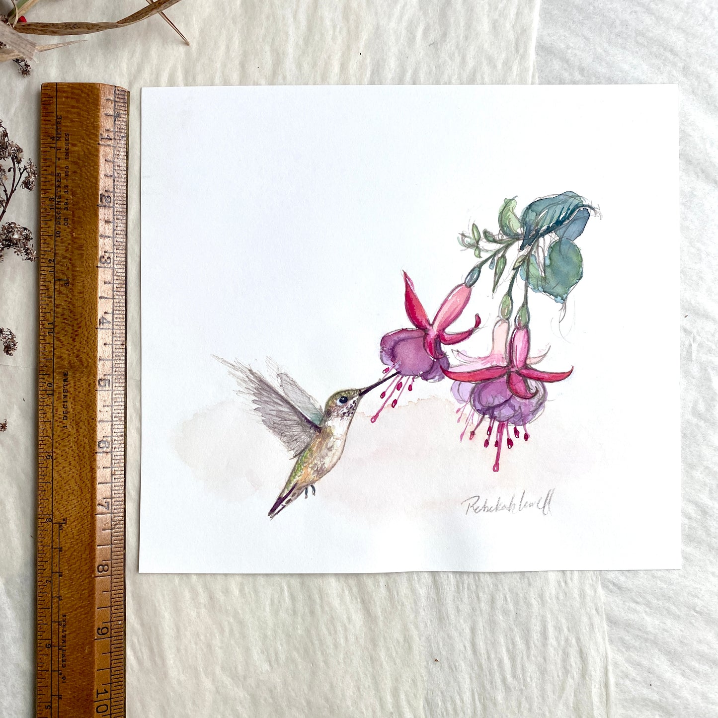 Ruby-throated Hummingbird Watercolor Painting