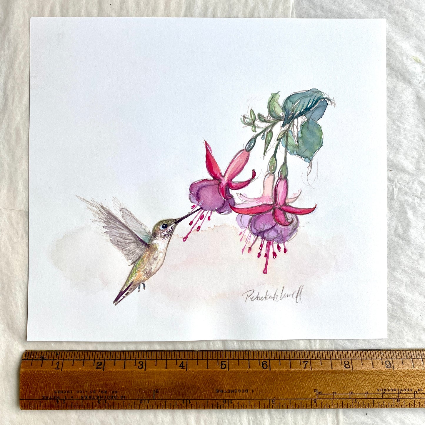 Ruby-throated Hummingbird Watercolor Painting