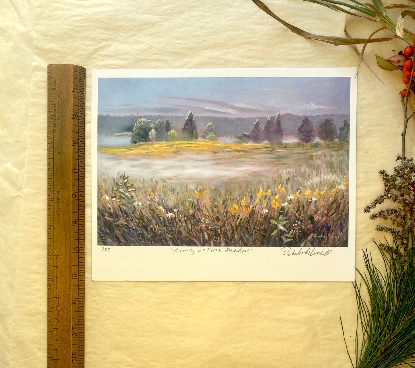 "Morning at North Meadow" Brush with Nature Art Print