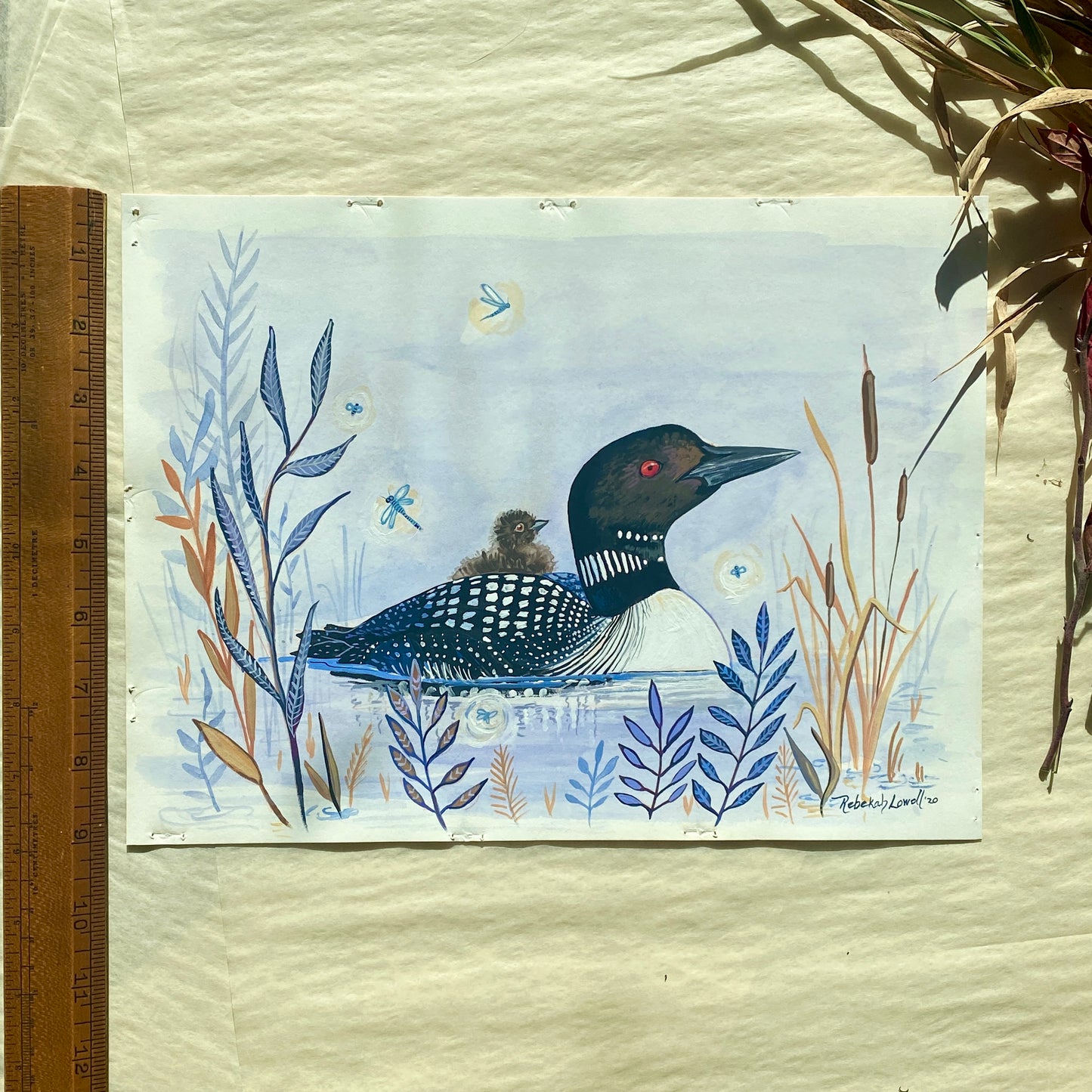 Common Loon and Chick Painting