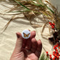 Monarch Butterfly on 1" Pin Button