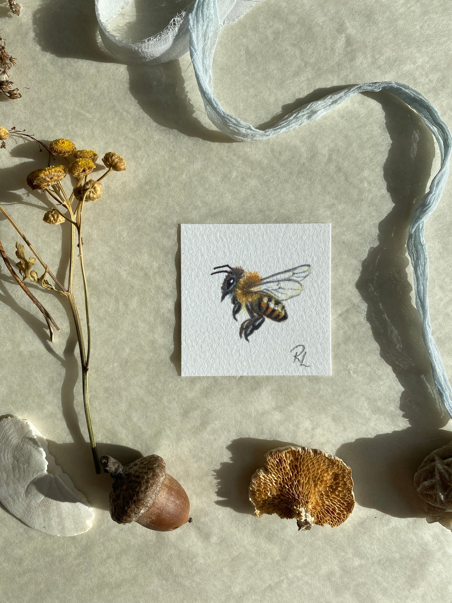 Honeybees Little Prints